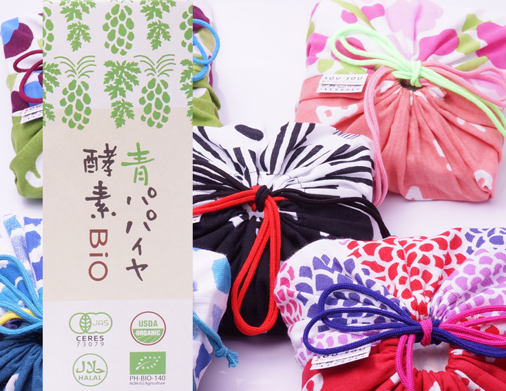 酵素を体に美味しく、青パパイヤ発酵食品。